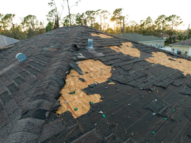 Roof Moss and Algae Removal in Bluffton, SC